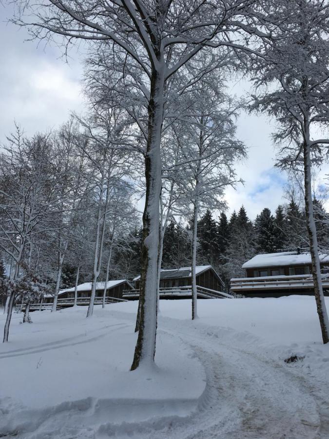 Le Voyageur Villa Murringen Eksteriør bilde